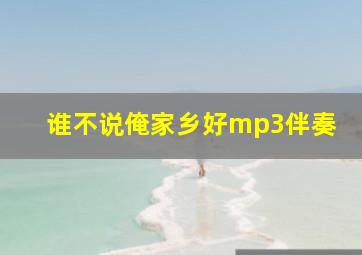 谁不说俺家乡好mp3伴奏