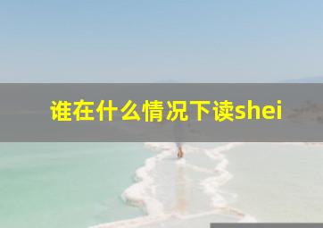 谁在什么情况下读shei