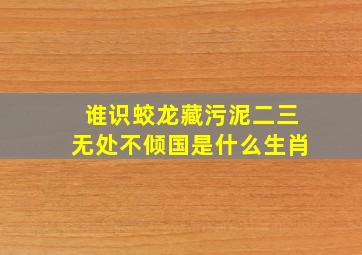 谁识蛟龙藏污泥二三无处不倾国是什么生肖