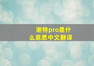 谢特pro是什么意思中文翻译