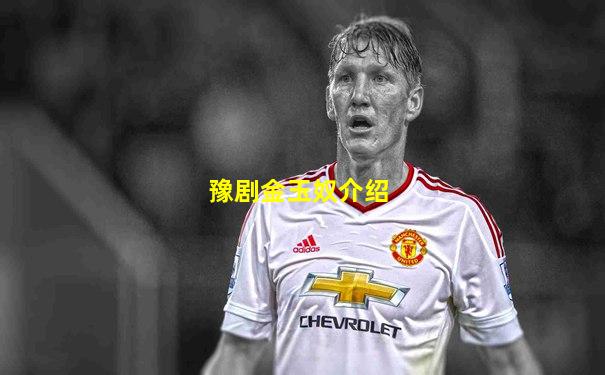 豫剧金玉奴介绍