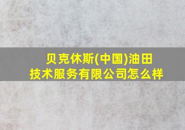 贝克休斯(中国)油田技术服务有限公司怎么样