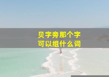 贝字旁那个字可以组什么词