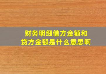 财务明细借方金额和贷方金额是什么意思啊