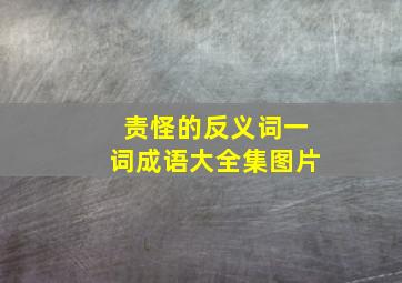 责怪的反义词一词成语大全集图片