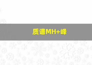 质谱MH+峰