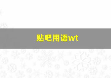 贴吧用语wt