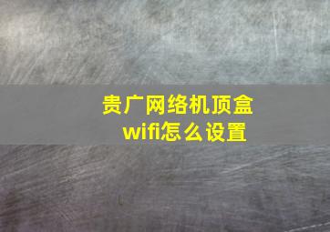 贵广网络机顶盒wifi怎么设置