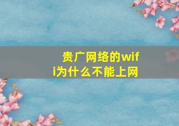 贵广网络的wifi为什么不能上网