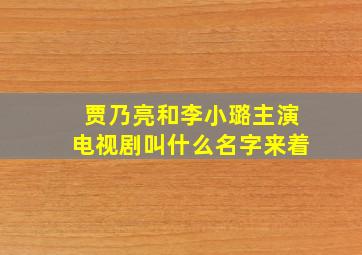 贾乃亮和李小璐主演电视剧叫什么名字来着