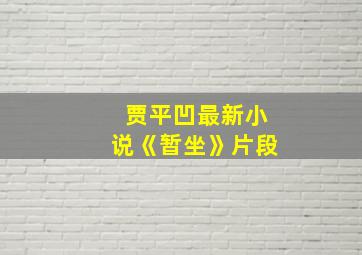 贾平凹最新小说《暂坐》片段