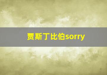 贾斯丁比伯sorry