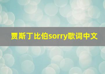 贾斯丁比伯sorry歌词中文