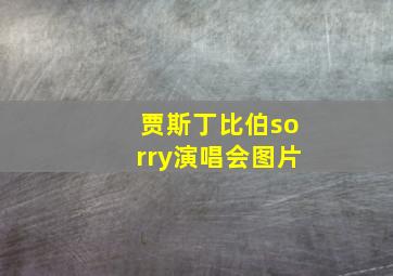 贾斯丁比伯sorry演唱会图片