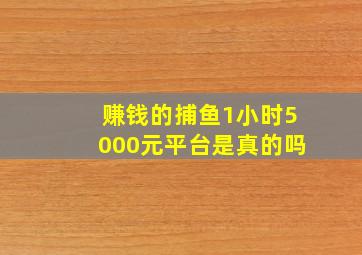 赚钱的捕鱼1小时5000元平台是真的吗