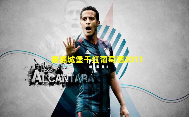 赛德城堡干红葡萄酒2011