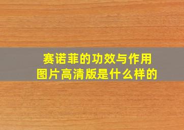 赛诺菲的功效与作用图片高清版是什么样的