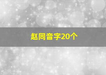 赵同音字20个