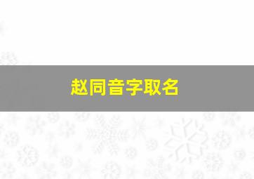 赵同音字取名