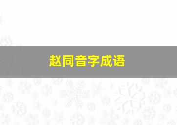 赵同音字成语