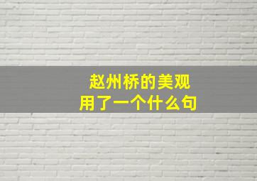 赵州桥的美观用了一个什么句