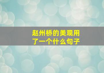 赵州桥的美观用了一个什么句子