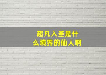 超凡入圣是什么境界的仙人啊