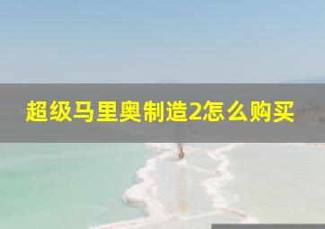 超级马里奥制造2怎么购买