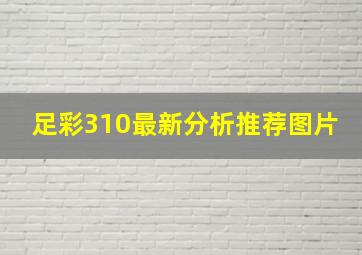 足彩310最新分析推荐图片