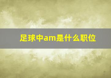 足球中am是什么职位