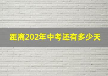 距离202年中考还有多少天