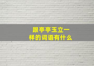 跟亭亭玉立一样的词语有什么