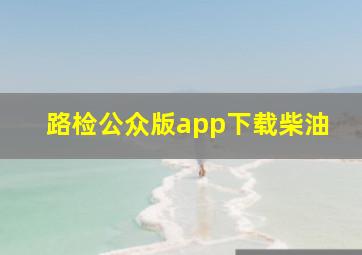 路检公众版app下载柴油