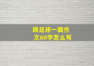 踢足球一篇作文60字怎么写