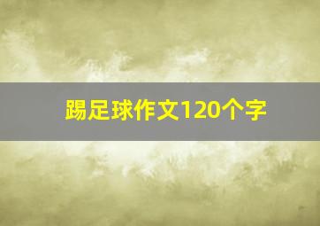 踢足球作文120个字