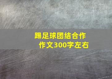 踢足球团结合作作文300字左右