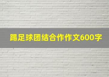 踢足球团结合作作文600字