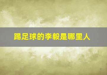 踢足球的李毅是哪里人