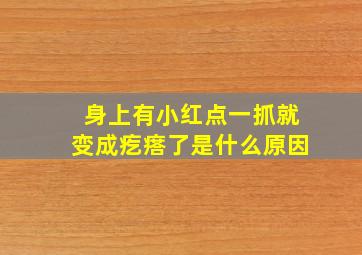 身上有小红点一抓就变成疙瘩了是什么原因