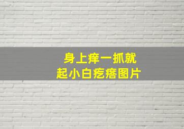 身上痒一抓就起小白疙瘩图片