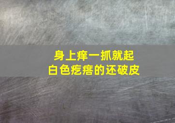 身上痒一抓就起白色疙瘩的还破皮