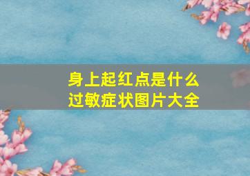 身上起红点是什么过敏症状图片大全