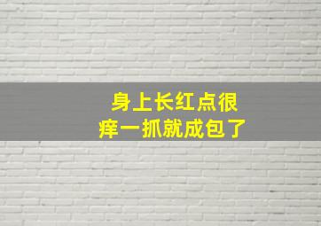 身上长红点很痒一抓就成包了