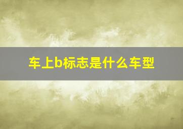 车上b标志是什么车型