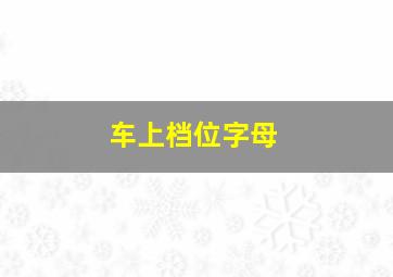 车上档位字母