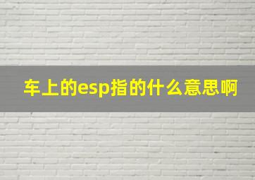 车上的esp指的什么意思啊