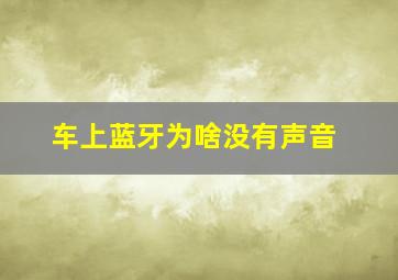 车上蓝牙为啥没有声音