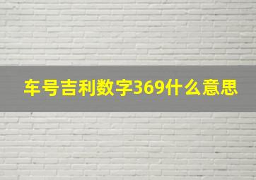 车号吉利数字369什么意思