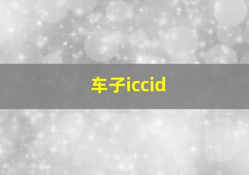 车子iccid