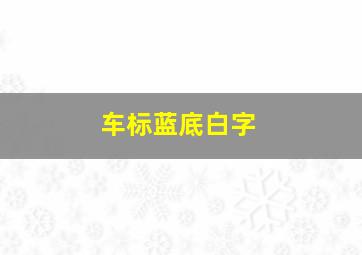 车标蓝底白字